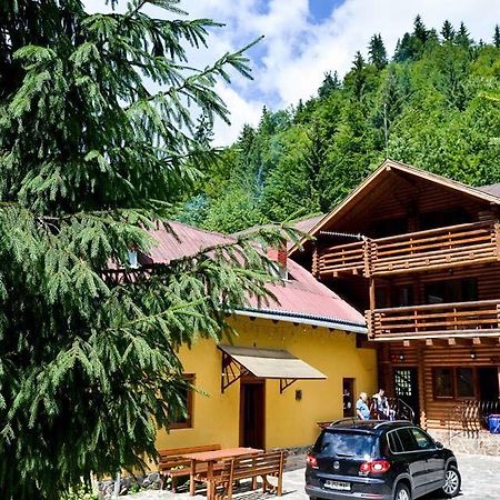 Cabana Bradul Rodna Exterior photo
